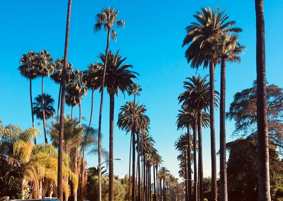 Welcome to HELL-A aka HOLLYWOOD!