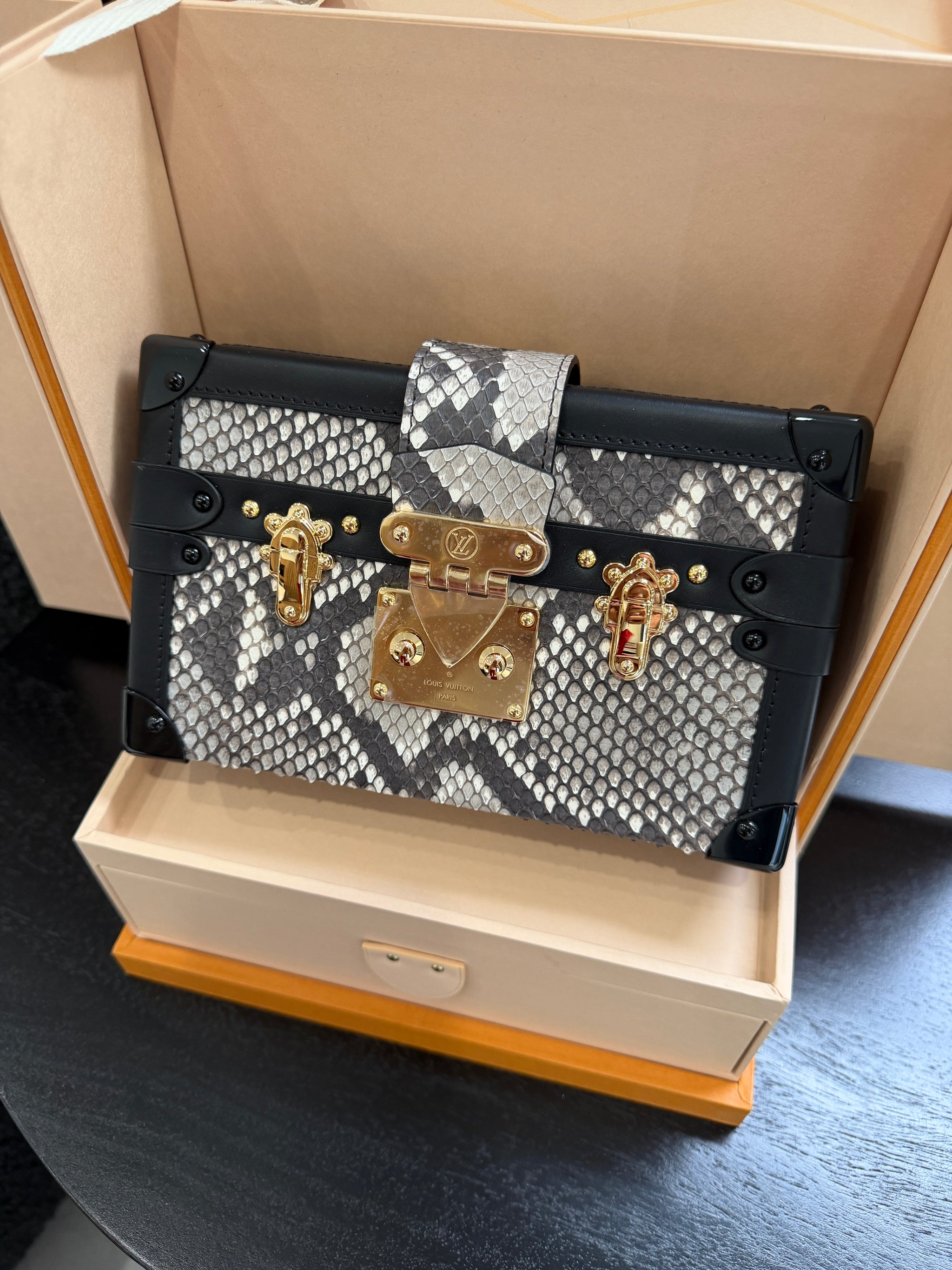 Louis Vuitton Petite Malle Python Skin Handbag