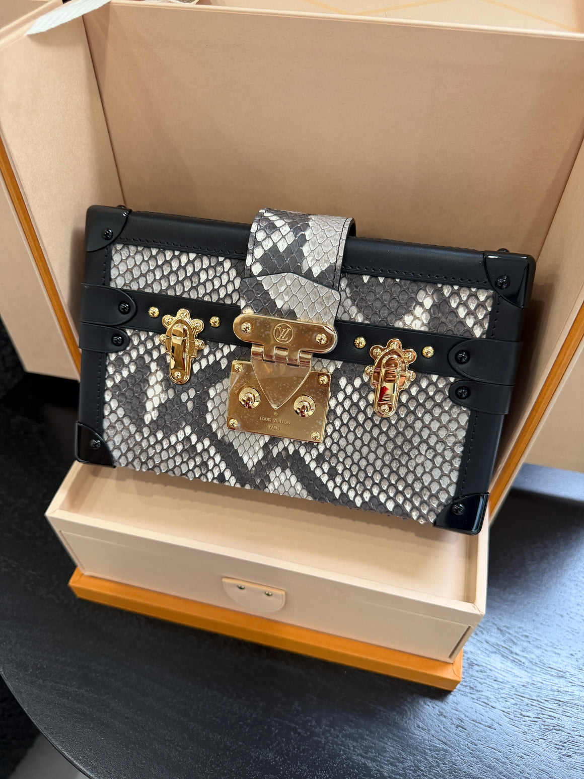 Louis Vuitton Petite Malle Python Skin Handbag